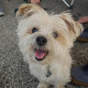 Meet your Posher, Annika